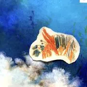Hermitの画像