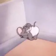 みの画像