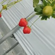 R ※プロフ必読※の画像