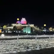 ぽんぽの画像