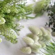 Thanks★の画像