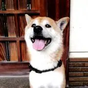 マッキー