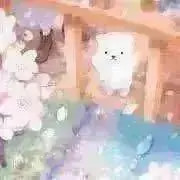 しっちゃの画像