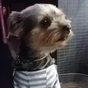 ママの画像