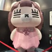 コレちゃんの画像