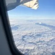 りんご❤️shop✨フォロー割♪