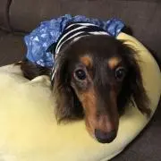 マロン
