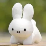 ウサギの画像