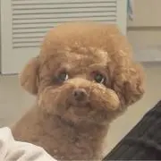 ぱんなんなんの画像