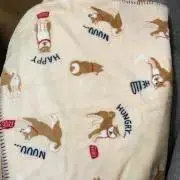 さくらの画像