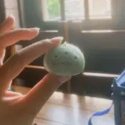 おにぎりの画像
