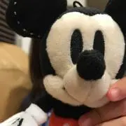 uuuの画像