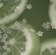 春の画像