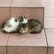 ヒデ兄