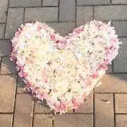 きの画像