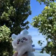 ゆい