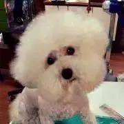 こげ※匿名配送で安心の画像