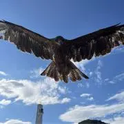 義の画像