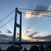 ねこねこの画像