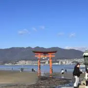 そーたの画像