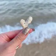 断捨離中の画像