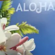 Aloha2020の画像