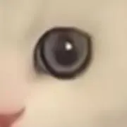 くもりなきまなこの画像