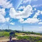 かんぱち万歳の画像