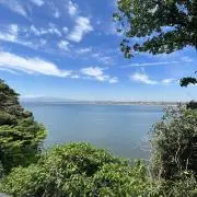 宝島の画像