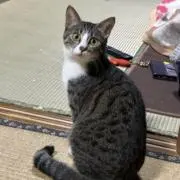 eastの画像