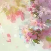 ＊maruko＊の画像