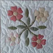 nikunikuの画像