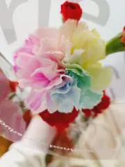 あやきゃの画像