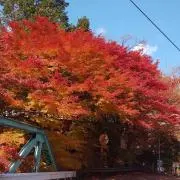 みゆみゆ  （プロフ必読）