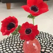 ゆうこり