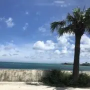 Ｒ/Ｅの画像