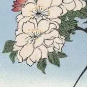 櫻井【出品10/14まで】の画像