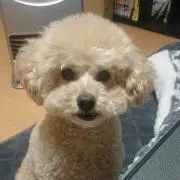 ☆まろん☆の画像