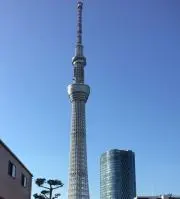 迪の画像