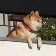 惡亞GR☆