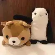 sorsの画像