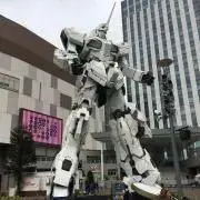はるはる