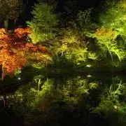 sa_yaの画像
