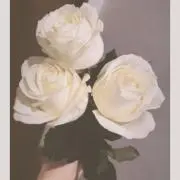 nkssm19の画像