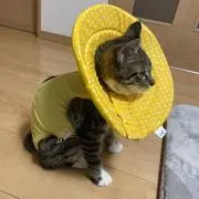k＊プロフィール確認必須＊の画像