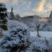AND GOODの画像