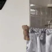 Yの画像