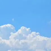 yuyの画像