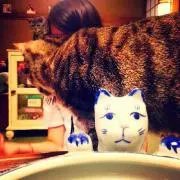 みらこすたの画像