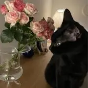 くぅちゃん